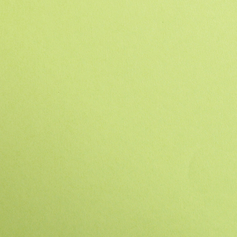 Barevný papír Maya A2 – 52 Mosse green