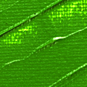 Akrylová barva Pébéo 500ml – 61 green earth