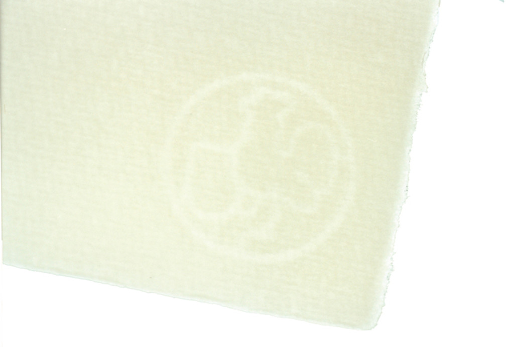 Grafický papír Hahnemühle 100% bavlna 78x106cm