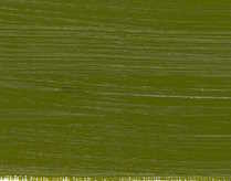 Olejová barva Norma Blue 35ml – 512 Olive green