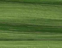 Olejová barva Norma Blue 120ml – 519 Natural green earth