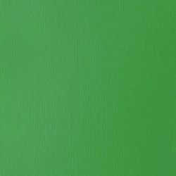 Akrylová barva Basics Fluid 118ml – 312 Light Green Permanent