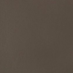 Akrylová barva Basics Fluid 118ml – 331 Raw Umber