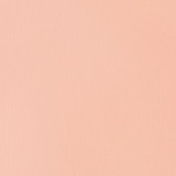 Akrylová barva Basics Fluid 118ml – 810 Light Pink