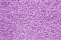 Akvarelová barva DS 15ml – 261 Manganese Violet