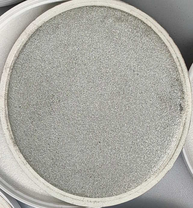 Práškový pigment Master 1kg – 202 Pearlescent Silver