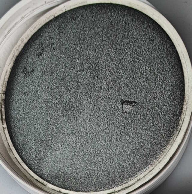 Práškový pigment Master 1kg – 205 Pearlescent Black