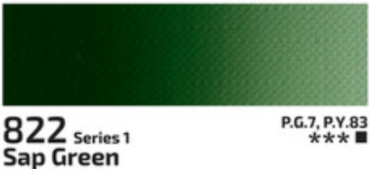 Kvašová barva Rosa 20ml – 822 Sap Green