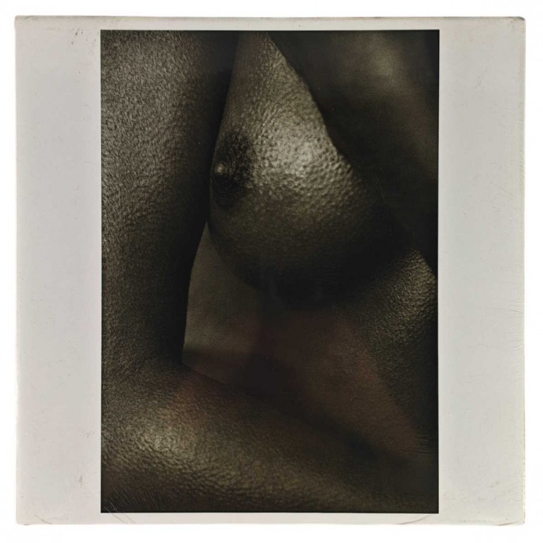 Obraz reprodukce 29,5x29,5cm – Beauty in the Detail