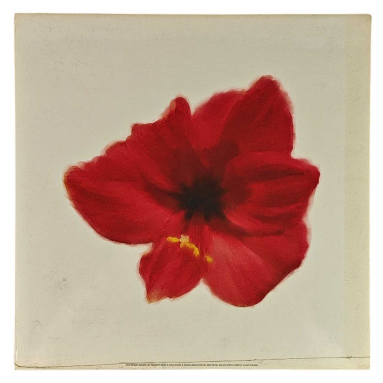 Obraz reprodukce 30x30cm – Petales Rouges I