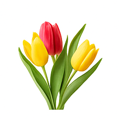 Vůně do svíček 10ml – 13 Tulipány