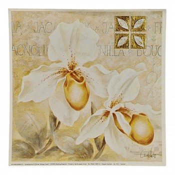 Obraz reprodukce 18x18cm – Orchid I
