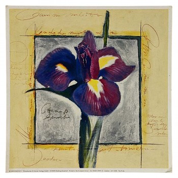 Obraz reprodukce 18x18cm – The Pride