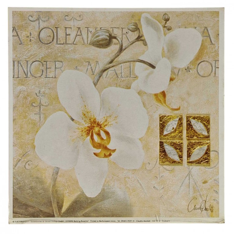 Obraz reprodukce 18x18cm – Orchid II