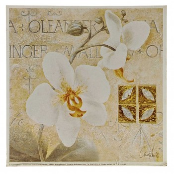 Obraz reprodukce 18x18cm – Orchid II