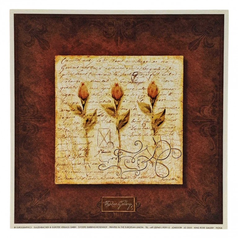 Obraz reprodukce 18x18cm – Fiona