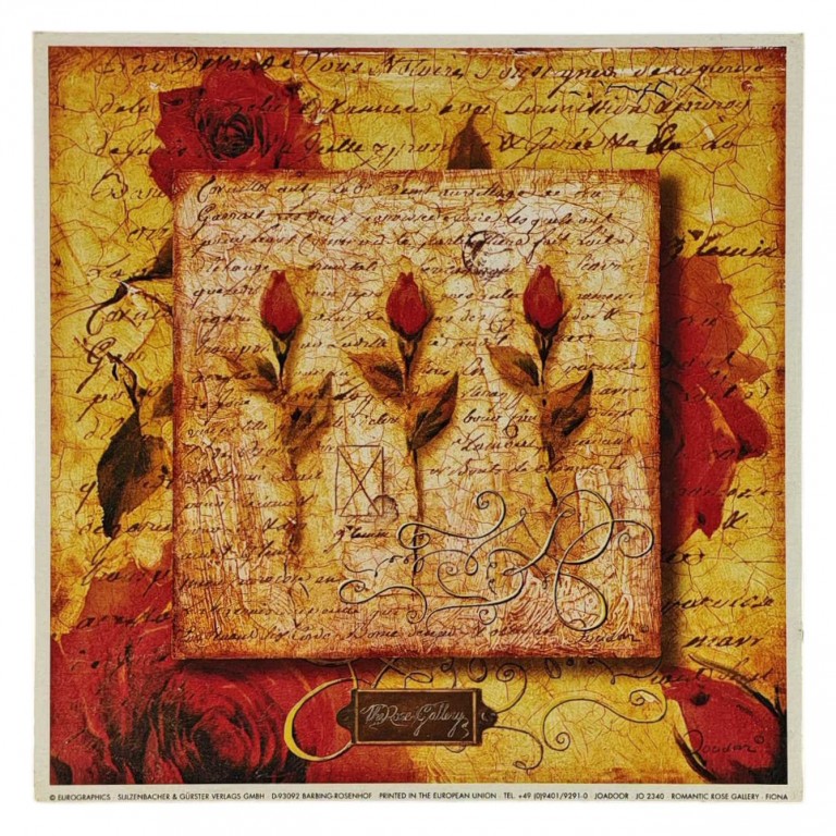 Obraz reprodukce 18x18cm – Rose Gallery