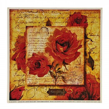 Obraz reprodukce 18x18cm – Rose Gallery III