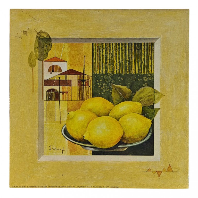 Obraz reprodukce 30x30cm – Citrus Field