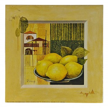 Obraz reprodukce 30x30cm – Citrus Field