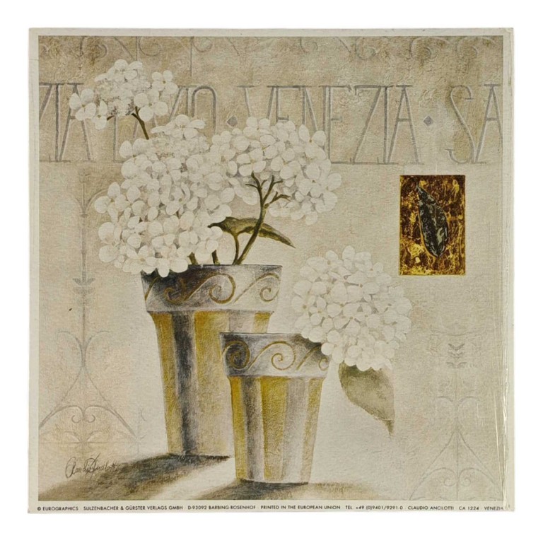 Obraz reprodukce 18x18cm – Venezia