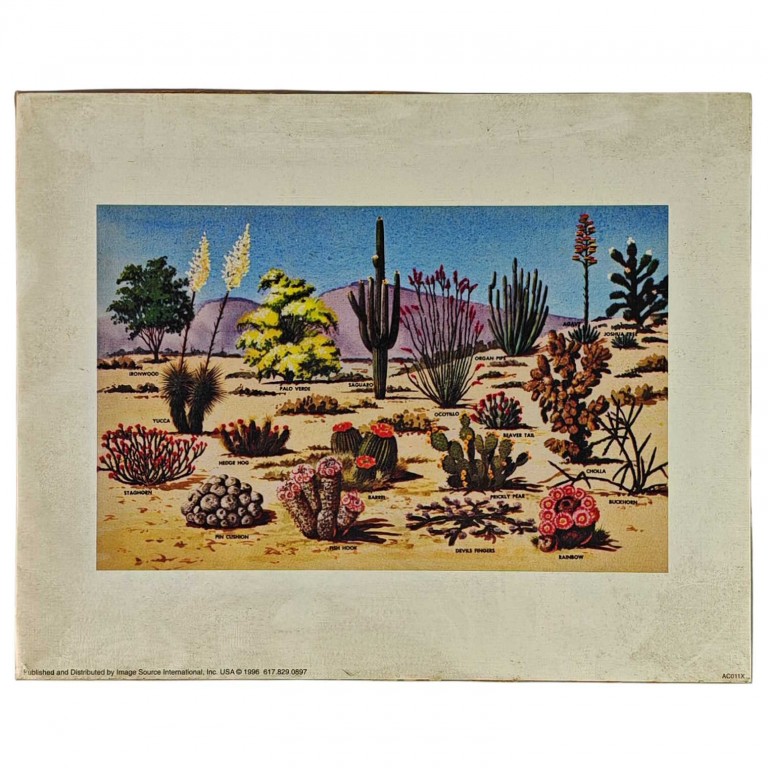 Obraz reprodukce 20,3x25,3cm – Bush