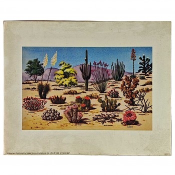 Obraz reprodukce 20,3x25,3cm – Bush