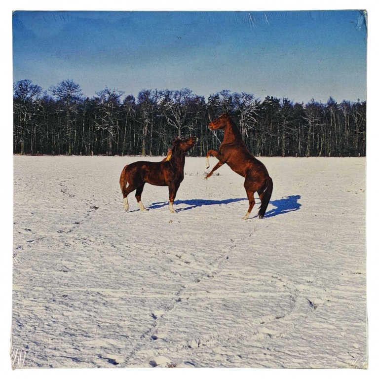 Obraz reprodukce 28x28cm – Horses