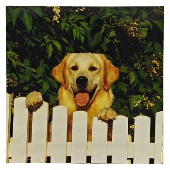 Obraz reprodukce 28x28cm – Dog