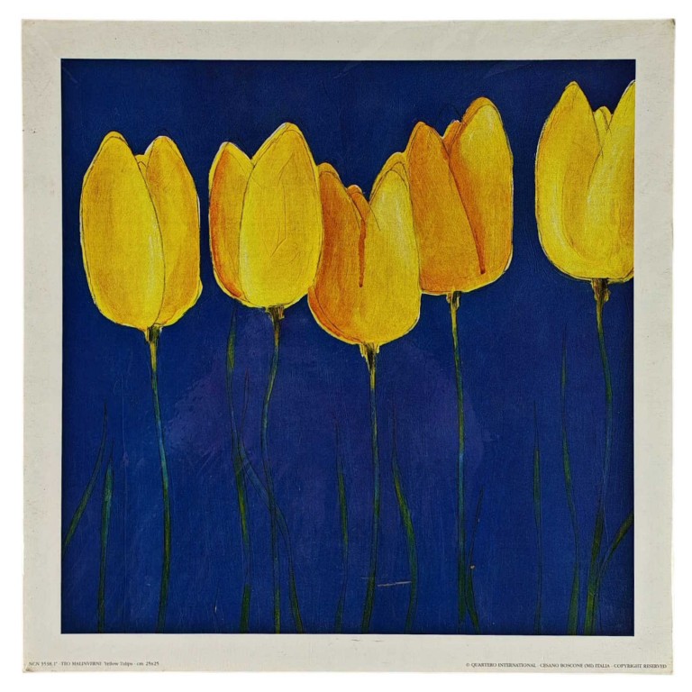 Obraz reprodukce 25x25cm – Yellow Tulips