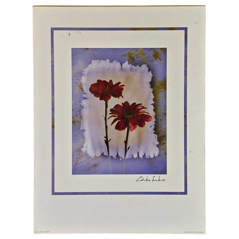 Obraz reprodukce 30x40cm – E. Sardano