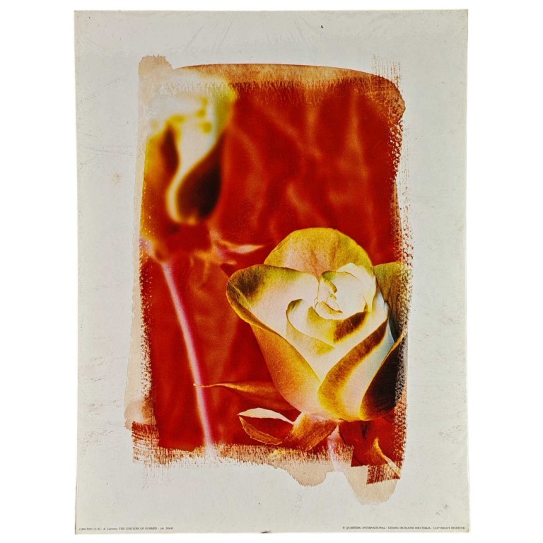 Obraz reprodukce 30x40cm – The Colours of Summer