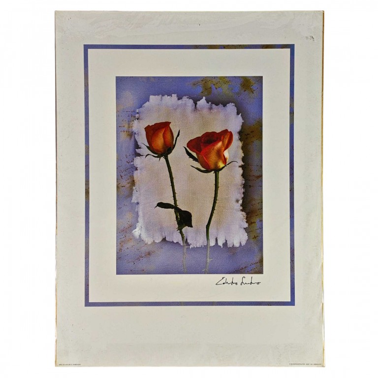 Obraz reprodukce 30x40cm – E. Sardano II