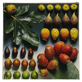 Obraz reprodukce 28x28cm – Fruit