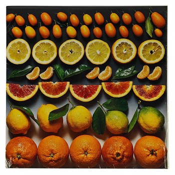 Obraz reprodukce 28x28cm – Citrus Fruit