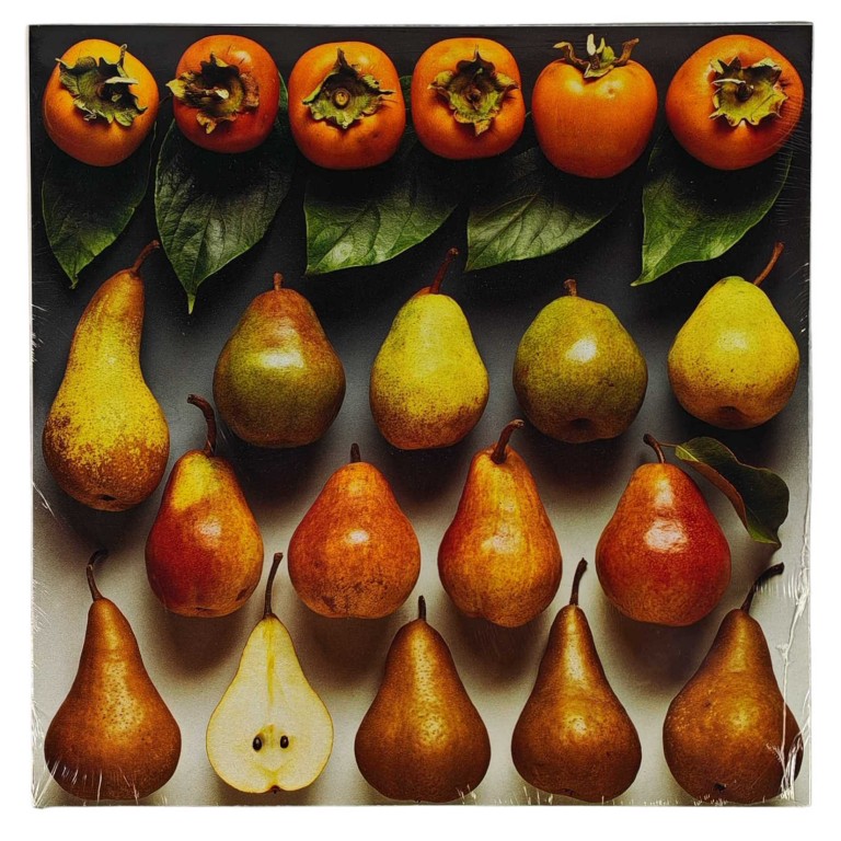 Obraz reprodukce 28x28cm – Pear