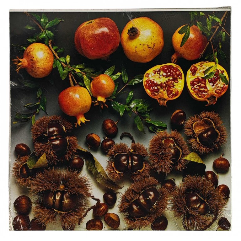 Obraz reprodukce 28x28cm – Autumn Fruit