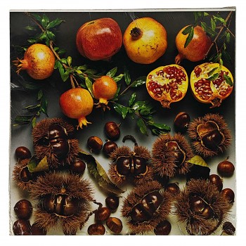 Obraz reprodukce 28x28cm – Autumn Fruit