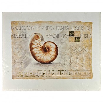 Obraz reprodukce 40x50cm – Pearlboat