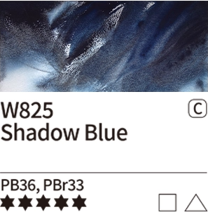 825 Shadow Blue