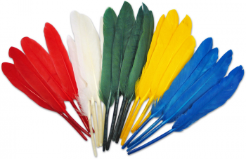 Peří 30 cm 12ks