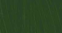 Olejová barva Cranfield Studio 60ml – Sap Green