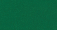 Permanent Green Lake