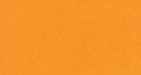 Warm Yellow