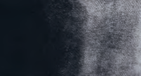 Blue-Black