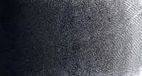 Carbon Black