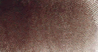 Raw Umber