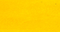 Mustard Yellow