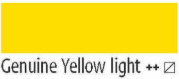04 Genuine Yellow light