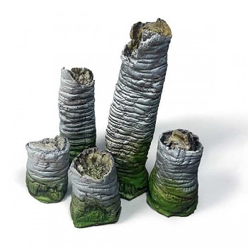 Broken Palm Trunks